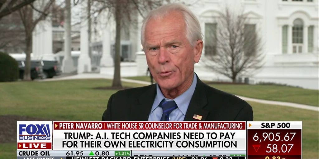 Peter Navarro: A micro approach to the macro problem of inflation is working | Fox Business Video