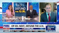 'Woke' UN organizations support 'anti-American' and 'anti-Jewish' causes, legal scholar says