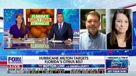How Hurricane Milton devastated Florida citrus crops