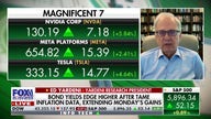 Magnificent Seven are 'amazing stocks' that survived volatility, expert says