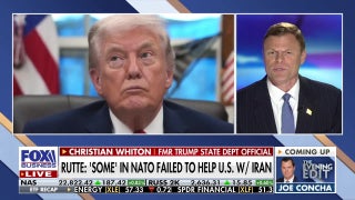 The heavyweights in Europe are exhibiting ‘anti-American’ sentiments, former State Department official says