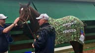Tenfold to race for injured veterans at Belmont Stakes