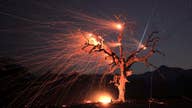 Varney: California’s political and regulatory climate to blame for wildfire problem