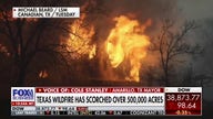 Texas wildfires have scorched roughly 75,000 acres: Cole Stanley