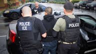 Will voters agree with Democrats push to abolish ICE?