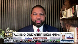 When you don't have audits or eligibility checks, you are asking for rampant fraud, GOP lawmaker says - Fox Business Video