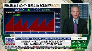 The market is starting to pivot and view higher oil prices as a tax on the consumer, Steve Laipply explains