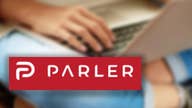Parler CEO: Our platform is a place for everybody to have free speech