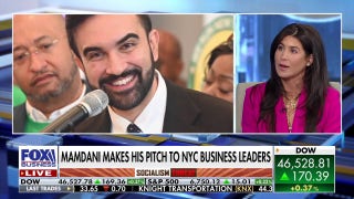 Zohran Mamdani deepens rift between Moderate and Progressive Democrats