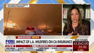 California wildfires will fuel 'ripple effect of devastation': Insurance expert - Fox Business Video