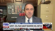 CEOs are 'very down' on their climate future: Marc Morano