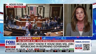 Democrats don't 'serve' the American people, says Rep. Lisa McClain