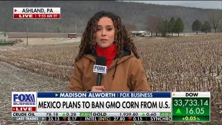 This could be the single most devastating thing to happen to corn farming: Madison Alworth - Fox Business Video