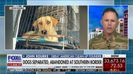 Army veteran John Rourke on mission to save abandoned dogs at US-Mexico border