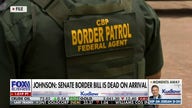 Border bill provides $20 billion, mandates shutdown when agents have 5,000 encounters in one week
