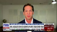GOP lawmaker calls for rhetoric, assaults on ICE to be addressed: 'Not good for America'