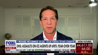 GOP lawmaker calls for rhetoric, assaults on ICE to be addressed: 'Not good for America'