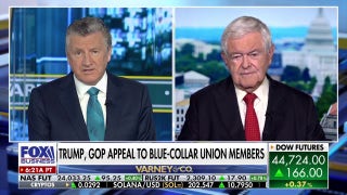 Newt Gingrich predicts 'enormously bad' midterm results for Democrats