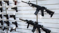 Biden's gun control executive orders will cause firearm stocks to soar: Investment strategist