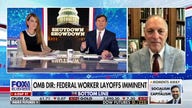 Democrats ‘played a game of chicken here’ over government shutdown, GOP lawmaker says