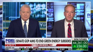 'Green New Scam' is 'done, it's dead, over' at Trump EPA: Administrator Zeldin says