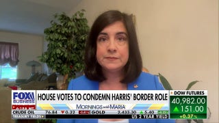 Voting for Kamala Harris is 'condoning' migrant lawlessness: Rep. Nicole Malliotakis - Fox Business Video