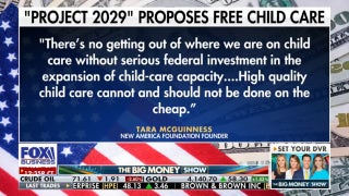 Democrats' Project 2029 floats free child care nationwide