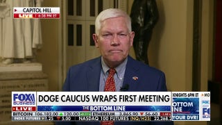 DOGE Caucus co-chair shares takeaways from first meeting - Fox Business Video