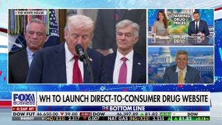 Economist explains why putting price controls on drugs is a 'bad idea'