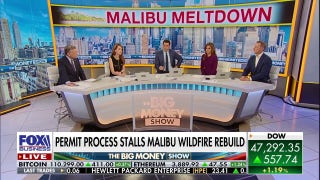 Malibu recovery stalled by red tape and wealthy buyers
