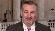 Ted Cruz: It's very good for America  that Trump and Musk have become close friends