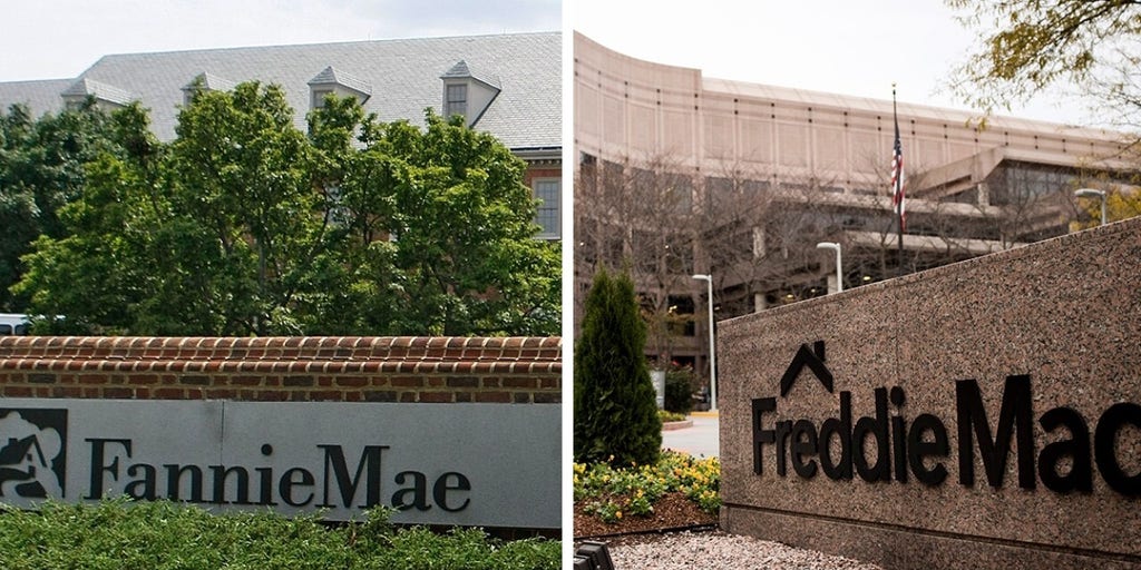 Shareholders Of Fannie Mae, Freddie Mac Will Be 'vindicated' In May ...