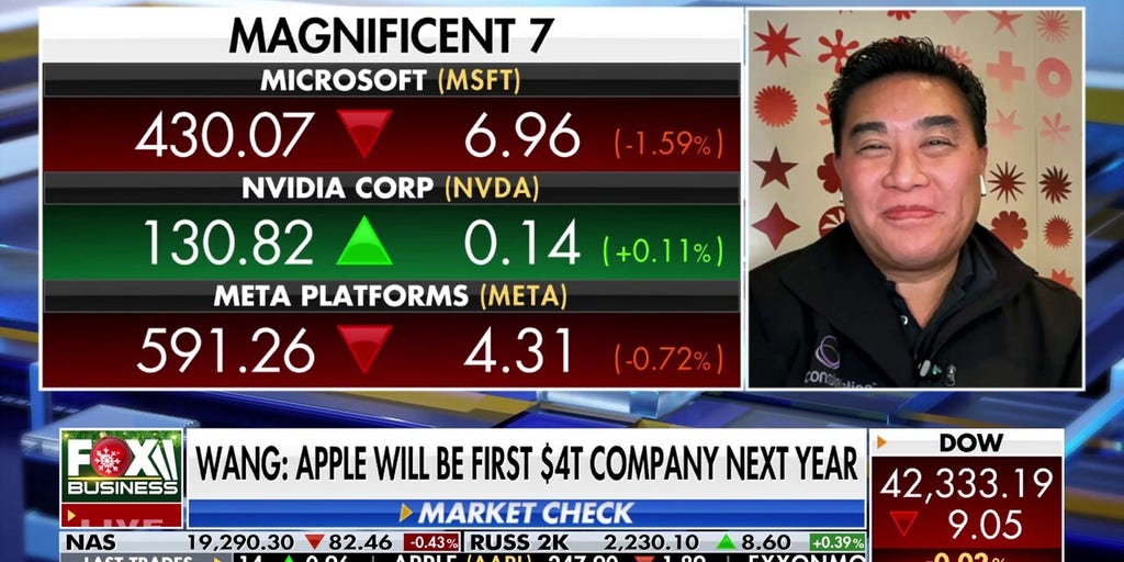 Magnificent 7 stocks going to do well in 2025, says financial expert