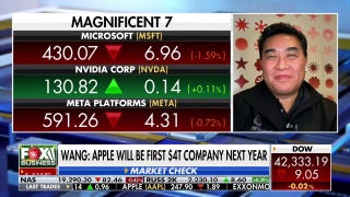 Magnificent 7 stocks going to do well in 2025, says financial expert - Fox Business Video