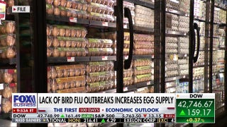 NYC grocery store lifts limit on egg purchases as prices continue to decline