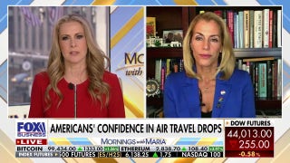 Aviation still the safest form of transportation despite drop in confidence, expert emphasizes