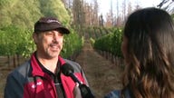 California Wineries struggle to find insurance amid drought