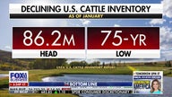 America’s shrinking cattle herd sees price surges 