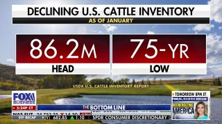 America’s shrinking cattle herd sees price surges