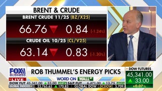 Electricity is the new oil, great time to be investing in energy: Rob Thummel
