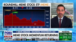 Meme stock ETF is meant to 'replicate' retail investor momentum: Roundhill Investments CEO