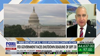 Schumer's government shutdown threat shows Democrats are in disarray, congressman says