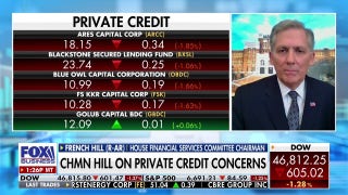 GOP lawmaker on private credit concerns: 'We're monitoring it'