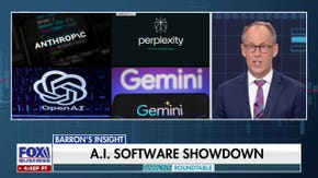 Software is not going away, though there will be specific 'winners and losers,' Josh Schafer says - Fox Business News