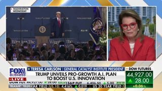 Trump’s AI plan is paving the way for ‘disruptive innovation’ in the US, expert argues