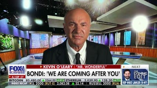 Kevin O’Leary calls alleged attacks on Teslas ‘lawlessness’