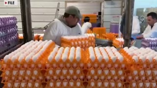 Bird Flu could cause egg prices to skyrocket in 2025