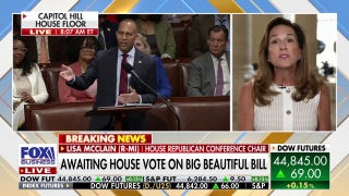 GOP rep rips Hakeem Jeffries for 'gaslighting' Americans with 'big, beautiful bill' resistance speech