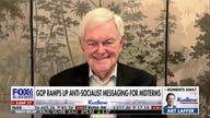 Newt Gingrich: This demonstrates the ‘insanity’ of what Democrats have become