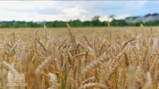 'How America Works': Wheat is an 'essential ingredient' of the US - Fox Business Video